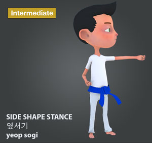 Side Stance ( 옆서기 yeop-sogi )