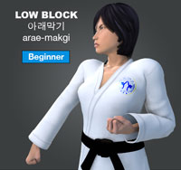 Low Block (arae makgi)