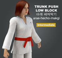 Trunk Push Low Block (arae hecho makgi)