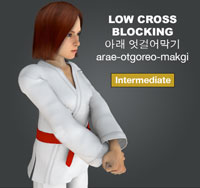 Low Cross Block (arae otgoreo makgi)