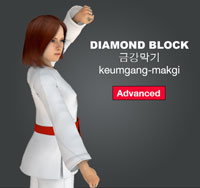 Diamong Block (keumgang makgi)