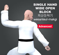 Single Hand Wide Open Block (Wesanteul makgi)