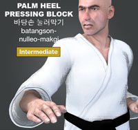 Palm Heel Pressing block (batangson nulleo makgi)