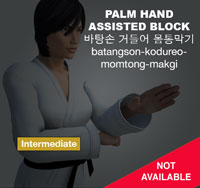 Palm Hand Assisted