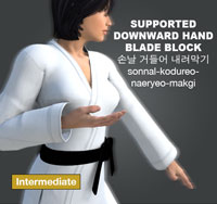 Supported Downward HandBlade Block (sonnal kodureo naeryeo makgi)