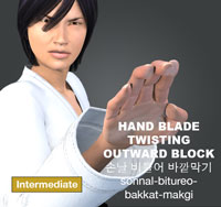 HandBlade Twist Outward Block