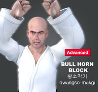 Bull Horn Block (hwangso makgi)