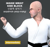 Inside Wrist Side Block (anpalmok yeom makgi)