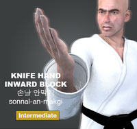 Knife Hand Inner Block ( 손날 안막기 sonnal anmakgi )