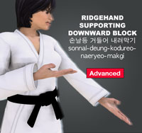 Ridgehand Supporting Downward Block ( 손날등 거들어 내려막기 sonnal-deung-kodureo-naeryeo-makgi )