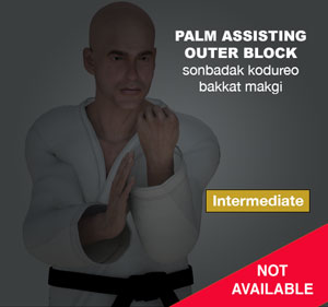 Palm Assisting Outer Block