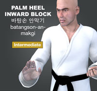 Palm Heel Inward Block ( 바탕손 안막기 batangson an makgi )