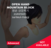 Open Hand Mountain Block ( 편손 산틀막기 pyeonson-santeul-makgi )