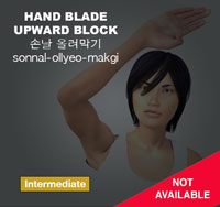 Hand Blade Upward Block ( 손날 올려막기 sonnal-ollyeo-makgi )