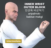 Inner Wrist Outer Block (anpalmok momtong bakkat makgi)