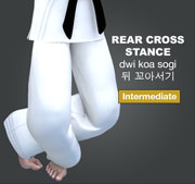 Rear Cross Stance ( 뒤 꼬아서기 dwi-koa-sogi )