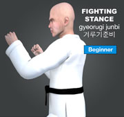 Fighting Stance ( 겨루기준비 gyeorugi-junbi )
