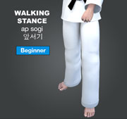 Walking Stance ( 앞서기 ap-sogi )