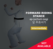 Forward Riding Stance ( 앞 주춤서기 ap-juchum-sogi )