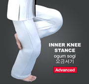 Inner Knee Stance ( 오금서기 ogum-sogi )