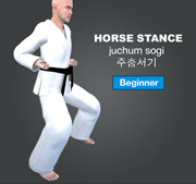 Horse Stance ( 주춤서기 juchum-sogi )