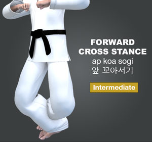 Forward Cross Stance ( 앞 꼬아서기 ap-koa-sogi )