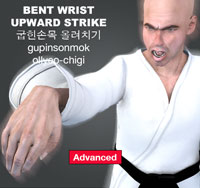 Bent Wrist Upward Strike ( 굽힌손목 올려치기 gupinsonmok-ollyeo-chigi )