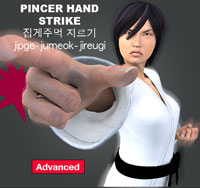 Pincer Hand Strike ( 집게주먹 지르기 jipge-jumeok-jireugi )