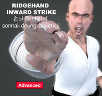 Ridgehand Inward Strike ( 손날등 안치기 sonnal-deung-an-chigi )