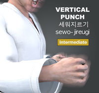 Vertical Punch ( 세워지르기 sewo-jireugi )