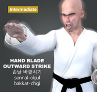Hand Blade Outward Strike ( 손날 바깥치기 sonnal-olgul-bakkat-chigi )