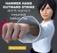Hammer Fist Outward Strike ( 메주먹 바깥치기 mejumeok-bakkat-chigi )