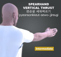 Spearhand Vertical Thrust ( 편손끝 세워찌르기 pyeonsonkkeut-sewo-jjireugi )
