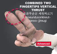 Combined Two Fingertips Vertical Thrust ( 모은두손끝 세워찌르기 moeundusonkkeut-sewo-jjireugi )
