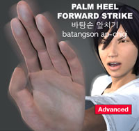 Palm Heel Forward Strike ( 바탕손 앞치기 batangson-ap-chigi )