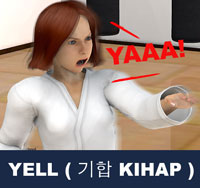 Taekwondo Kihap