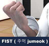 Yi kwon taekwondo terminology fist finger