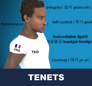 Taekwondo Tenets