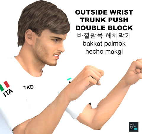 Outside Wrist Double Block ( 바깥팔목 헤쳐막기 bakkat palmok hecho makgi )