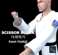 Scissors Block ( 가위막기 kawi-makgi )