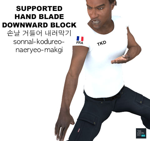 Supported Hand Blade Downward Block ( 손날 거들어 내려막기 sonnal-kodureo-naeryeo-makgi )