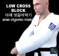 Low Cross Block ( 아래 엇걸어막기 arae-otgoreo-makgi )