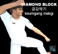 Diamond Block ( 금강막기 keumgang-makgi )