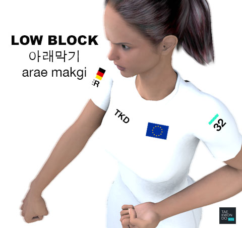 Low Block ( 아래막기 arae makgi )