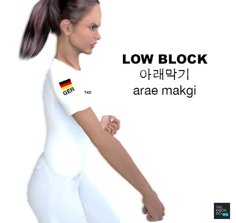 Low Block ( 아래막기 arae makgi )