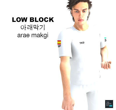 Low Block ( 아래막기 arae makgi )