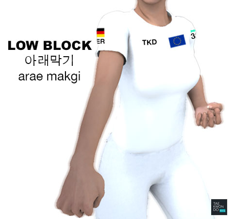 Low Block ( 아래막기 arae makgi )