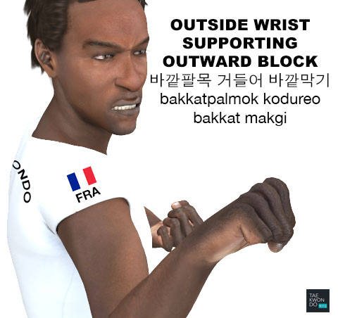 (Outside Wrist) Supporting Outward Block ( (바깥팔목) 거들어 바깥막기 (bakkatpalmok) kodureo bakkat makgi )