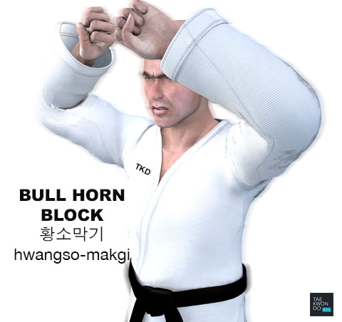 Bull Horn Blocking ( 황소막기 hwangso-makgi )