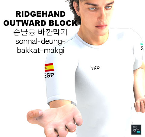 Ridgehand Outward Block ( 손날등 바깥막기 sonnal-deung-bakkat-makgi )